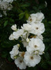 P1140423