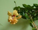 P1390580