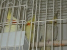 DSCN1163