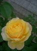 CIMG5457