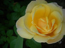 CIMG5458