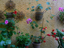 DSCN7888