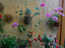 DSCN7889