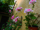 DSCN7897