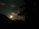 DSCN7920