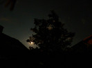 DSCN7930