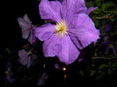 DSCN7944