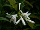 DSCN7983