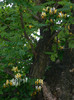 DSCN8043