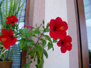 P1010103