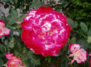 P1010098