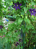DSC03366