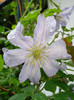 DSC03390