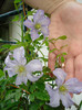 DSC03392
