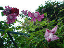 DSC03439