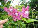 DSC03450