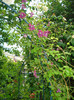 DSC03452