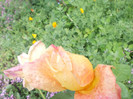 DSCN3834