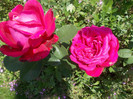 DSCN4227