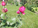 DSCN4232
