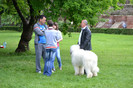 Bord de Raul Alb CMBR RPJ