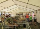 expo _schlsselberg-2012-006