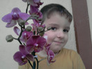 Stefan si orhidea