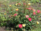 DSCN0802