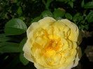 CIMG5497
