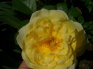 CIMG5498
