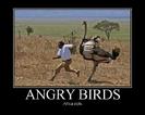 Angry Birds
