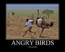 Angry Birds