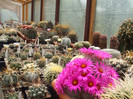 DSCF0800
