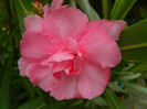 DSCN8048