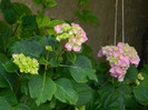 DSCN8058