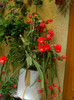 DSCN8059