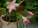 DSCN8061