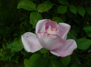 DSCN8066