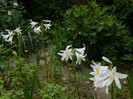 DSCN8067