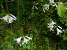 DSCN8074