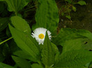 DSCN8076