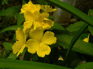 DSCN8084