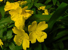 DSCN8087
