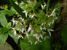 DSCN8091