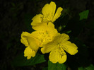 DSCN8093