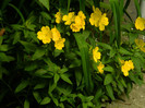 DSCN8112