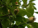 DSCN8131