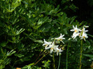 DSCN8137