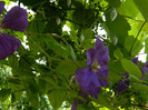 DSCN8142