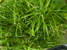DSCN8149
